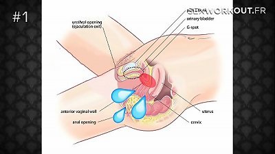 50 technologies pour bouffer un minou