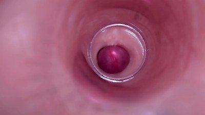 chick Insemination - internal Camera captures Deep male orgasm
