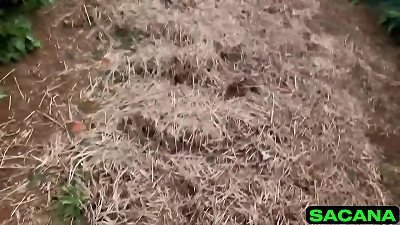 fucking steamy with the youthfull doll inside the coffee plantation