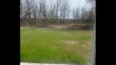 inexperienced deep throat with cumshot, fantasy somebody watched us