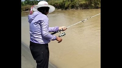 COLOMBIAN FISHING SOLO I offer YOU A DEAL IN interchange FOR THE FISH