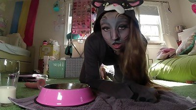 Gray kitty wanks YOU