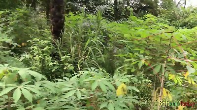 Somewhere in Africa having hookup in bush