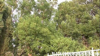 A big black man-meat is exactly what my pussy needs